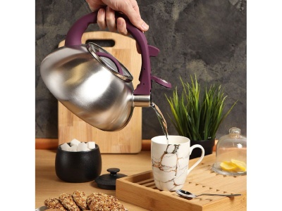 Чайник нерж сталь 3л (DSC-8802) со свистком ручка с силиконовым покрытием индукция матовый Daniks  - фото в Миди Лтд Изображение товара Чайник нерж сталь 3л (DSC-8802) со свистком ручка с силиконовым покрытием индукция матовый Daniks  в Миди Лтд