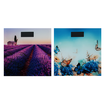 Весы напольные электронные  ХХ - фото в Миди Лтд Изображение товара Весы напольные электронные  ХХ в Миди Лтд