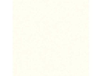 ЛДСП Kronospan  2500*1830*16мм  Белый Фасадный  0101 PR (38шт/пал) - фото в Миди Лтд Изображение товара ЛДСП Kronospan  2500*1830*16мм  Белый Фасадный  0101 PR (38шт/пал) в Миди Лтд