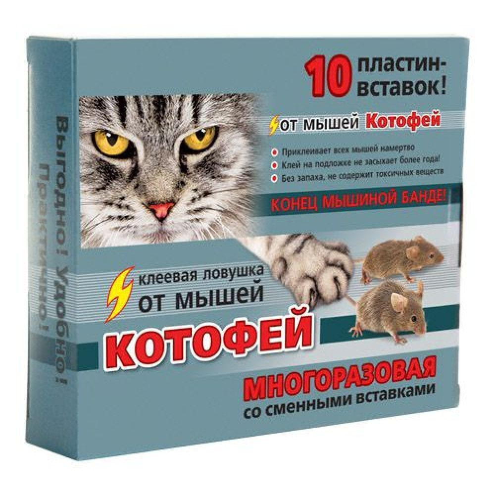 ЦБ-00034558