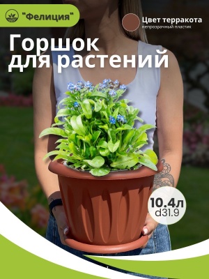Изображение товара Горшок для растений ФЕЛИЦИЯ с поддоном d320мм 10,4л терракот (8шт/уп) в Миди Лтд