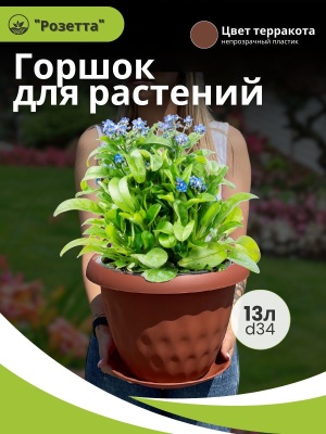Горшок для растений РОЗЕТТА с поддоном d340мм 13л терракот (4шт/уп) - фото в Миди Лтд Изображение товара Горшок для растений РОЗЕТТА с поддоном d340мм 13л терракот (4шт/уп) в Миди Лтд
