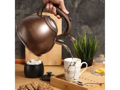 Чайник нерж сталь 3л (MSY-A058) со свистком ручка с силиконовым покрытием индукция матовый Daniks  - фото в Миди Лтд Изображение товара Чайник нерж сталь 3л (MSY-A058) со свистком ручка с силиконовым покрытием индукция матовый Daniks  в Миди Лтд