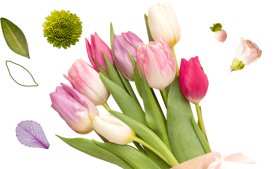 Милые дамы!