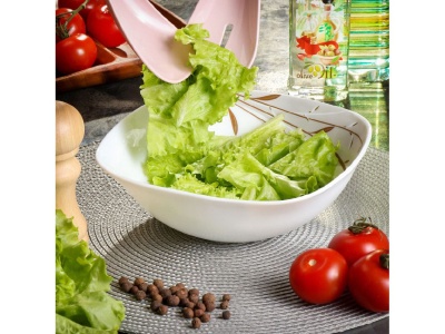 Изображение товара Салатник стеклокерамика квадратный 23см 1,2л Daniks Орфей (3шт/уп) Х в Миди Лтд