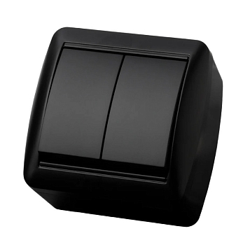 Изображение товара Выключатель 2-кл открытой установки графит Селигер 10А IP44 TDM в Миди Лтд