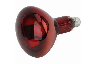 Изображение товара Лампа зеркальная-термоизлучатель ИКЗК 250Вт Е27 R127 в Миди Лтд