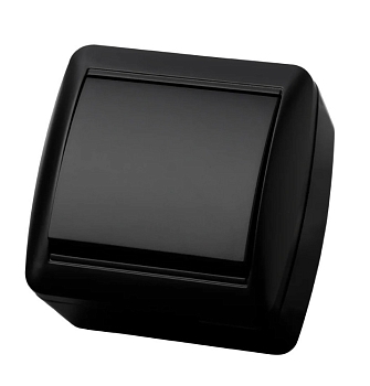 Изображение товара Выключатель 1-кл открытой установки графит Селигер 10А IP44 TDM в Миди Лтд