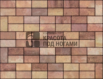 Изображение товара Плитка тротуарная «Кирпичик» листопад 50мм (1 ряд- 1,08м2, пал- 15 рядов/16,2м2) в Миди Лтд